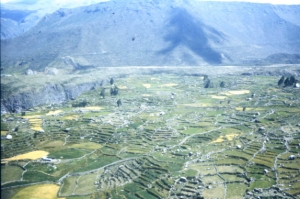Terraces around Puno
