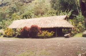 Old type Polinesian house