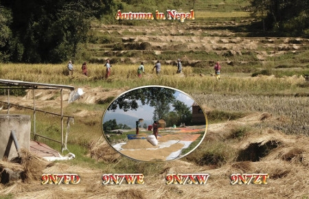 9n7we qsl card